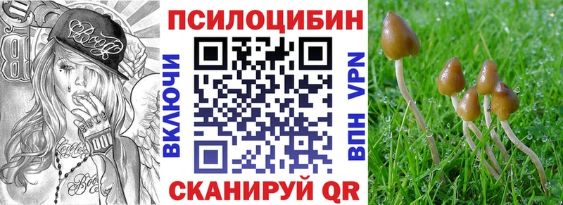 Галлюциногенные грибы Magic Shrooms  Купить  Динская 
